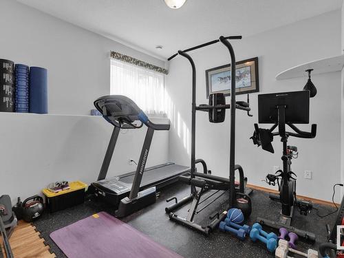 4536 57 Avenue, Lamont, AB - Indoor Photo Showing Gym Room