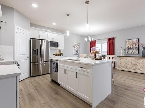 4027 208 Street, Edmonton, AB - Indoor Photo Showing Kitchen With Upgraded Kitchen