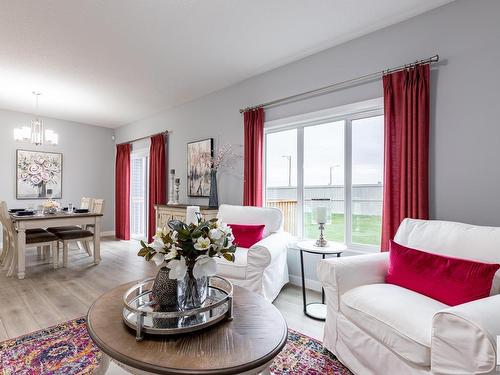 4027 208 Street, Edmonton, AB - Indoor Photo Showing Living Room