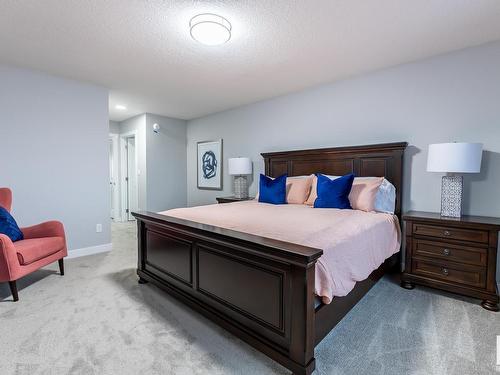 4027 208 Street, Edmonton, AB - Indoor Photo Showing Bedroom