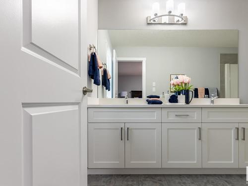 4027 208 Street, Edmonton, AB - Indoor Photo Showing Bathroom