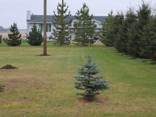 471019 Rge Rd 250, Rural Wetaskiwin County, AB - Outdoor With View