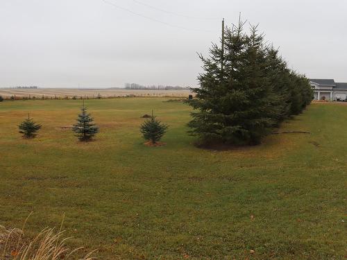 471019 Rge Rd 250, Rural Wetaskiwin County, AB - Outdoor With View