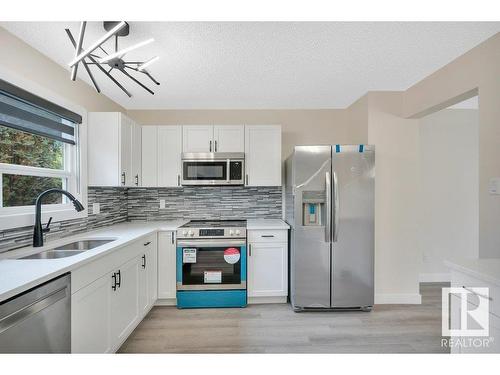 2919 130 Avenue, Edmonton, AB - Indoor Photo Showing Kitchen With Double Sink With Upgraded Kitchen