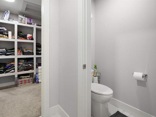 1353 Enright Landing Landing, Edmonton, AB - Indoor Photo Showing Bathroom