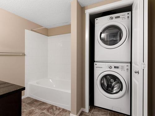 309 3207 James Mowatt Trail, Edmonton, AB - Indoor Photo Showing Laundry Room