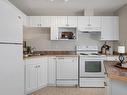 #211 155 Edwards Dr Sw, Edmonton, AB 