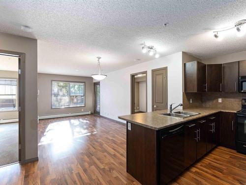 104 103 Ambleside Drive, Edmonton, AB - Indoor Photo Showing Kitchen With Double Sink