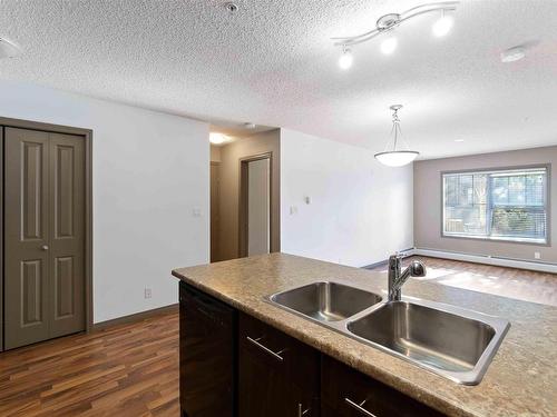 104 103 Ambleside Drive, Edmonton, AB - Indoor Photo Showing Kitchen With Double Sink