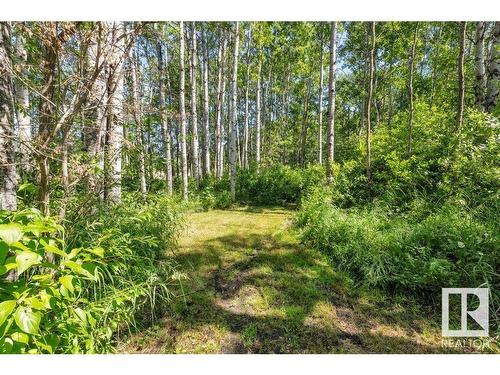 8-50322 Rge Rd 10, Rural Parkland County, AB - Outdoor