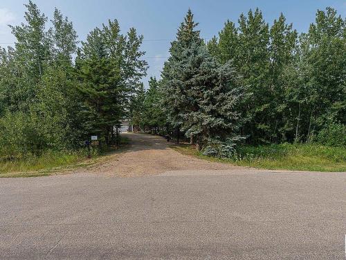 14 52312 Rge Rd 220, Rural Strathcona County, AB - Outdoor