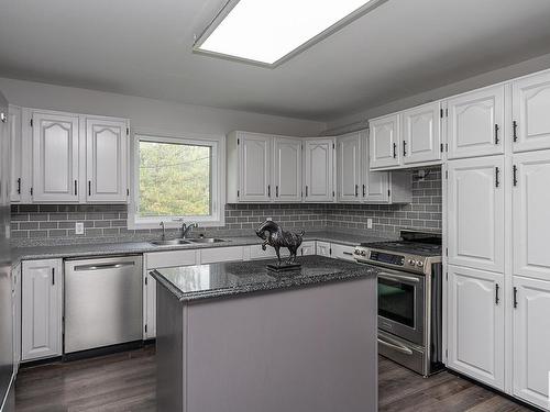 14 52312 Rge Rd 220, Rural Strathcona County, AB - Indoor Photo Showing Kitchen With Double Sink