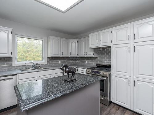 14 52312 Rge Rd 220, Rural Strathcona County, AB - Indoor Photo Showing Kitchen With Double Sink