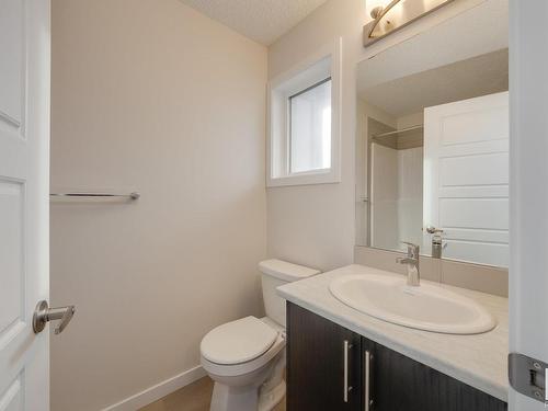 2462 Trumpeter Way, Edmonton, AB - Indoor Photo Showing Bathroom