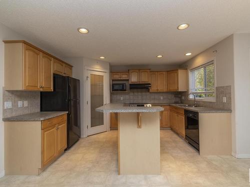 1026 Rutherford Place, Edmonton, AB - Indoor Photo Showing Kitchen With Double Sink