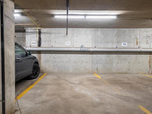 237 9704 174 Street, Edmonton, AB - Indoor Photo Showing Garage