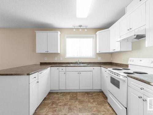 202 13020 127 Street, Edmonton, AB - Indoor Photo Showing Kitchen With Double Sink