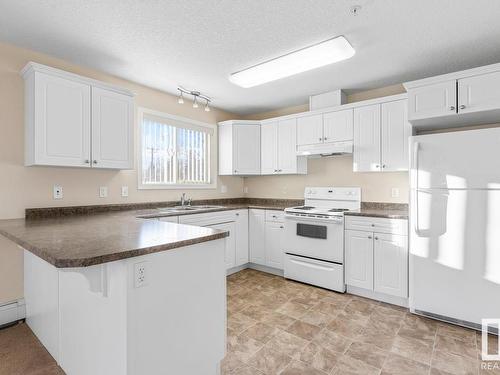 202 13020 127 Street, Edmonton, AB - Indoor Photo Showing Kitchen With Double Sink