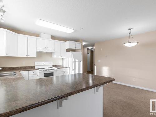 202 13020 127 Street, Edmonton, AB - Indoor Photo Showing Kitchen With Double Sink