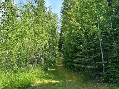 53302 Rrd 65, Rural Parkland County, AB 