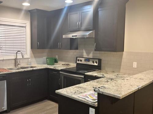 2627 20 Avenue, Edmonton, AB - Indoor Photo Showing Kitchen With Double Sink With Upgraded Kitchen