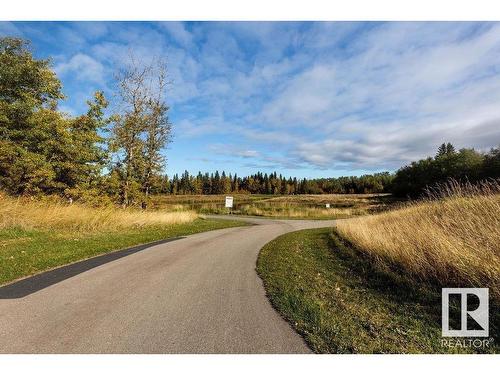 6632 Crawford Landing Landing, Edmonton, AB - Outdoor With View