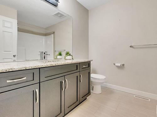 1722 Adamson Crescent, Edmonton, AB - Indoor Photo Showing Bathroom