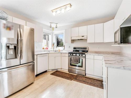 4123 22 Avenue, Edmonton, AB - Indoor Photo Showing Kitchen With Stainless Steel Kitchen With Double Sink