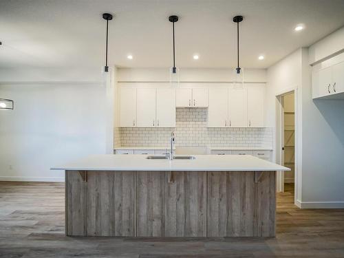 5125 Kinney Way, Edmonton, AB - Indoor Photo Showing Kitchen With Double Sink With Upgraded Kitchen