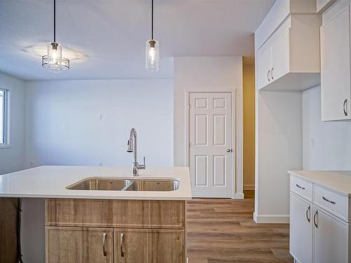 1308 13 Avenue, Edmonton, AB - Indoor Photo Showing Kitchen With Double Sink