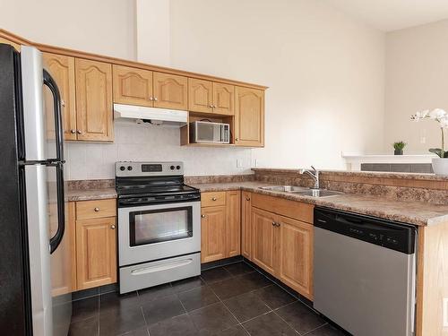 10313 157 Street, Edmonton, AB - Indoor Photo Showing Kitchen With Double Sink