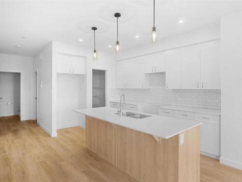 1607 27 Street, Edmonton, AB - Indoor Photo Showing Kitchen With Double Sink With Upgraded Kitchen