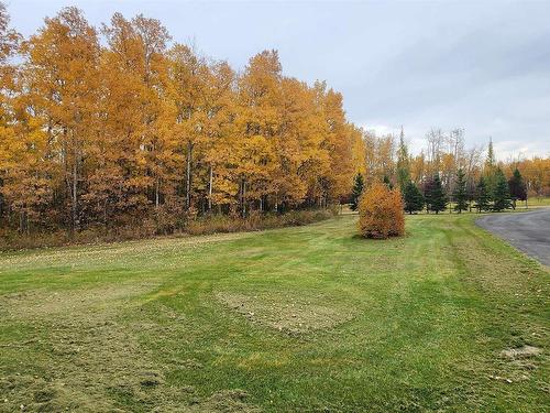 10 27070 Twp Rd 480, Rural Leduc County, AB 