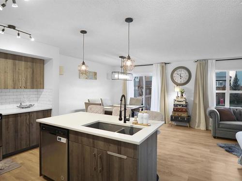 9516 227 Street, Edmonton, AB - Indoor Photo Showing Kitchen With Double Sink