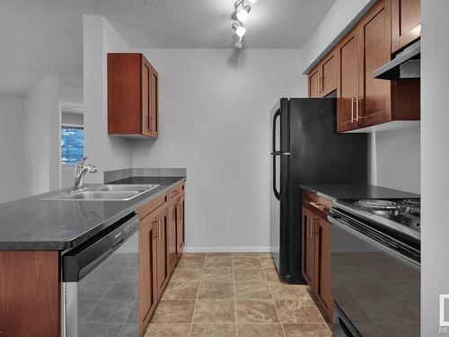 #109 5390 Chappelle Rd, Edmonton, AB - Indoor Photo Showing Kitchen With Double Sink