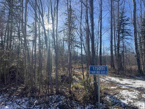 175031 Twp Rd 651.5, Rural Athabasca County, AB 