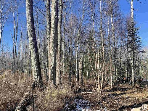 175031 Twp Rd 651.5, Rural Athabasca County, AB 