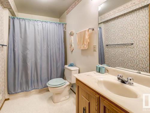 17314 Callingwood Road, Edmonton, AB - Indoor Photo Showing Bathroom