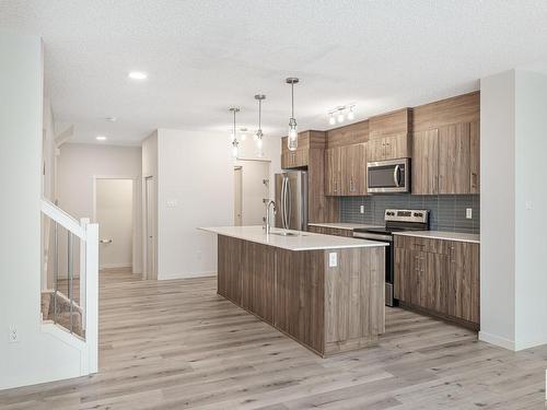 20115 26 Avenue, Edmonton, AB - Indoor Photo Showing Kitchen With Upgraded Kitchen