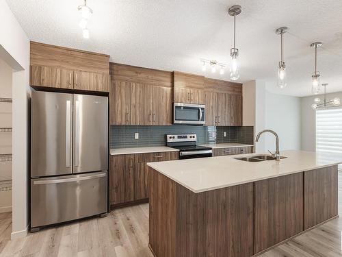 20115 26 Avenue, Edmonton, AB - Indoor Photo Showing Kitchen With Double Sink With Upgraded Kitchen