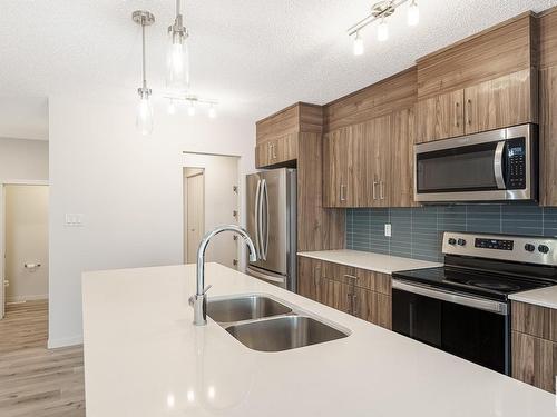 20115 26 Avenue, Edmonton, AB - Indoor Photo Showing Kitchen With Double Sink With Upgraded Kitchen