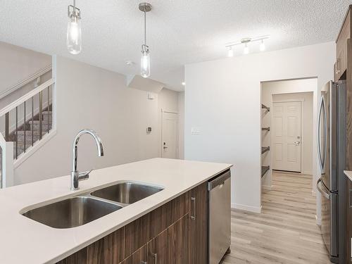 20115 26 Avenue, Edmonton, AB - Indoor Photo Showing Kitchen With Double Sink