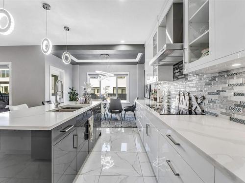 1756 18 Street, Edmonton, AB - Indoor Photo Showing Kitchen With Double Sink