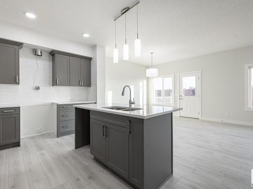 4111 208 Street, Edmonton, AB - Indoor Photo Showing Kitchen With Double Sink With Upgraded Kitchen