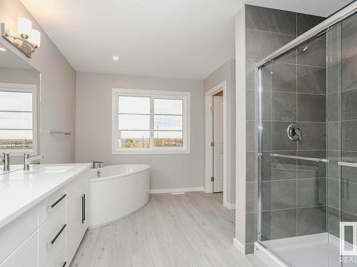 674 Kinglet Boulevard, Edmonton, AB - Indoor Photo Showing Bathroom