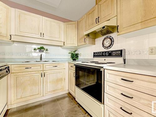 316 17151 94A Avenue, Edmonton, AB - Indoor Photo Showing Kitchen