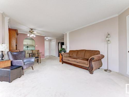 316 17151 94A Avenue, Edmonton, AB - Indoor Photo Showing Living Room