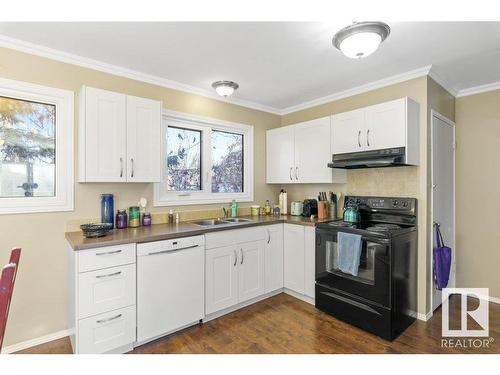 10415 62 Street, Edmonton, AB - Indoor Photo Showing Kitchen With Double Sink