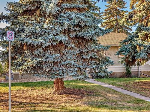 13124 83 St Nw, Edmonton, AB 