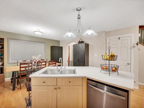 2920 25 Street, Edmonton, AB - Indoor Photo Showing Kitchen With Double Sink